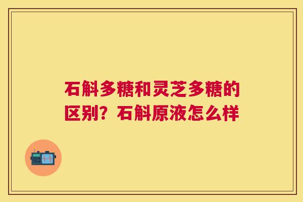 石斛多糖和灵芝多糖的区别？石斛原液怎么样