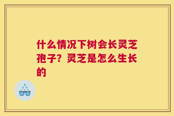 什么情况下树会长灵芝孢子？灵芝是怎么生长的