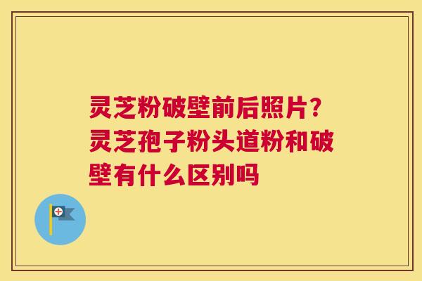 灵芝粉破壁前后照片？灵芝孢子粉头道粉和破壁有什么区别吗