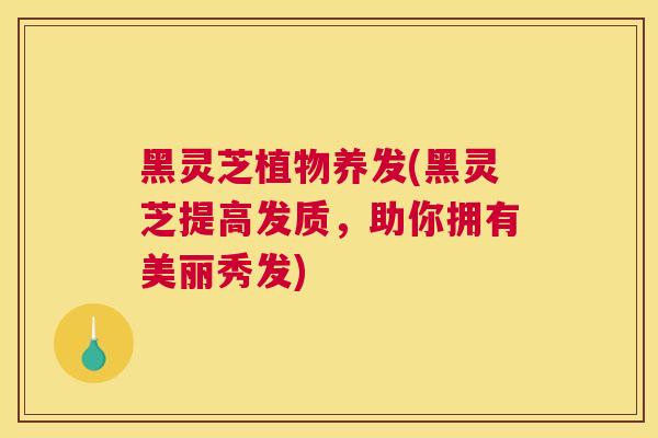 黑灵芝植物养发(黑灵芝提高发质，助你拥有美丽秀发)