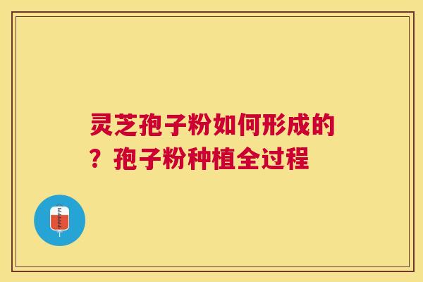 灵芝孢子粉如何形成的？孢子粉种植全过程