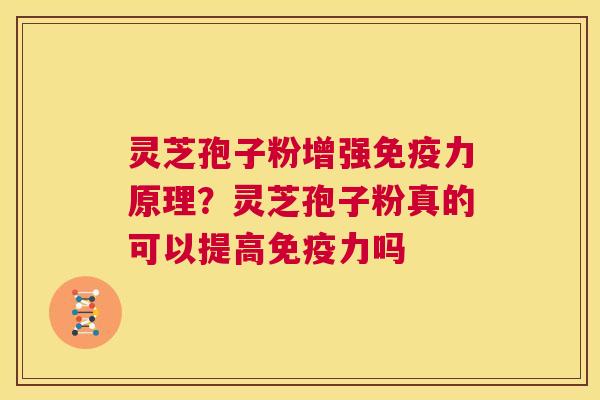 灵芝孢子粉增强免疫力原理？灵芝孢子粉真的可以提高免疫力吗