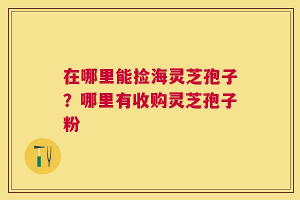 在哪里能捡海灵芝孢子？哪里有收购灵芝孢子粉