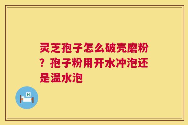 灵芝孢子怎么破壳磨粉？孢子粉用开水冲泡还是温水泡