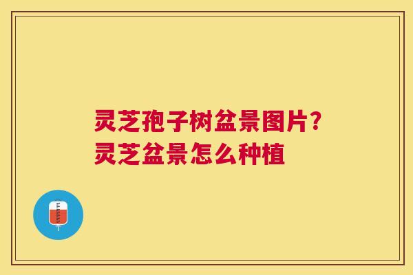 灵芝孢子树盆景图片？灵芝盆景怎么种植