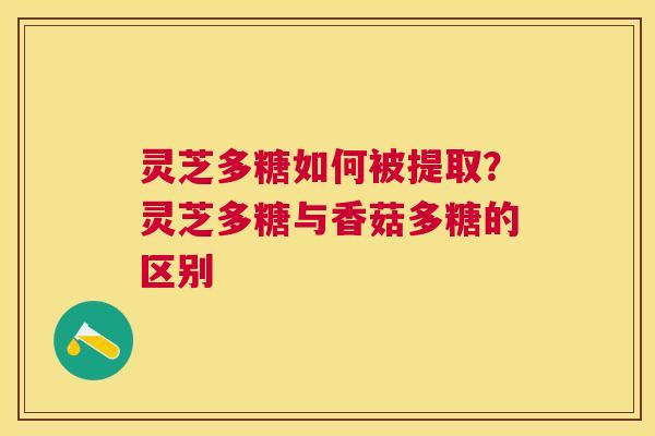 灵芝多糖如何被提取？灵芝多糖与香菇多糖的区别