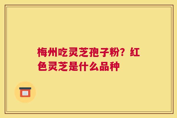 梅州吃灵芝孢子粉？红色灵芝是什么品种