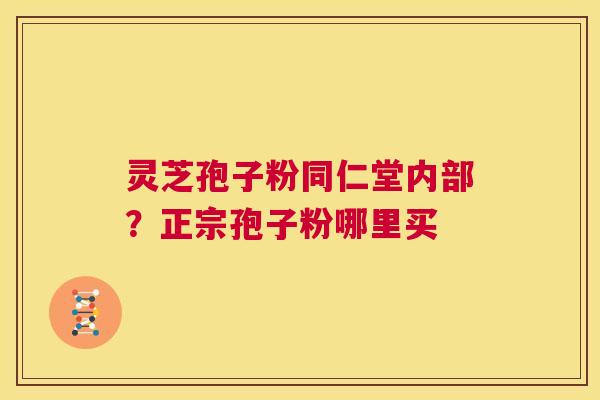 灵芝孢子粉同仁堂内部？正宗孢子粉哪里买