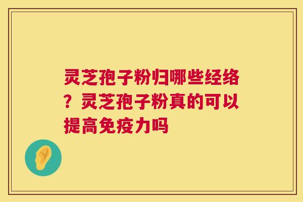 灵芝孢子粉归哪些经络？灵芝孢子粉真的可以提高免疫力吗