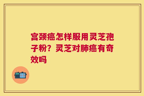 宫颈怎样服用灵芝孢子粉？灵芝对有奇效吗