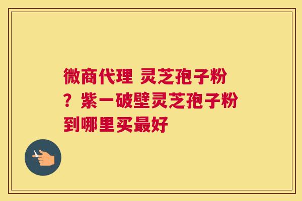微商代理 灵芝孢子粉？紫一破壁灵芝孢子粉到哪里买好