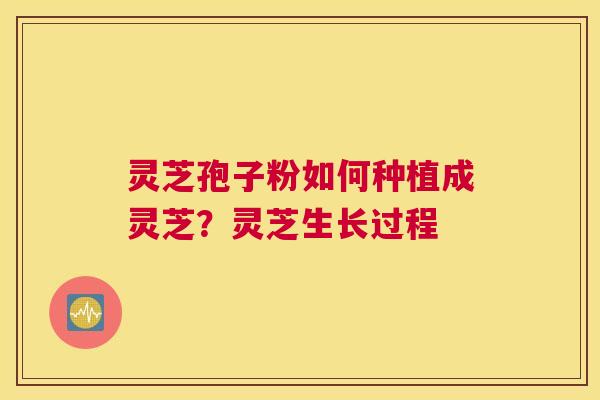 灵芝孢子粉如何种植成灵芝？灵芝生长过程