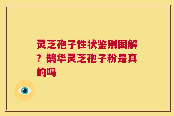 灵芝孢子性状鉴别图解？鹊华灵芝孢子粉是真的吗