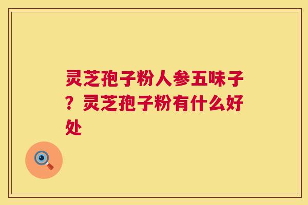 灵芝孢子粉人参五味子？灵芝孢子粉有什么好处