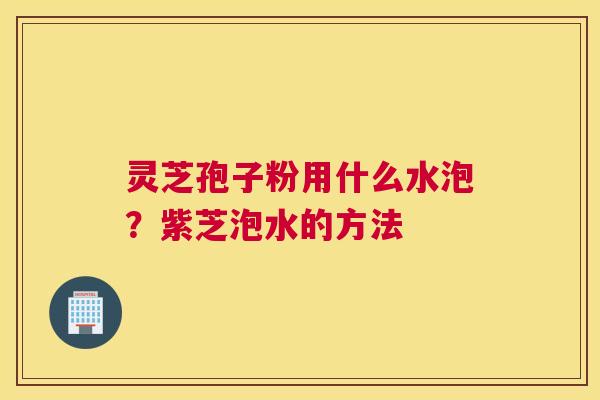 灵芝孢子粉用什么水泡？紫芝泡水的方法