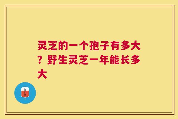 灵芝的一个孢子有多大？野生灵芝一年能长多大