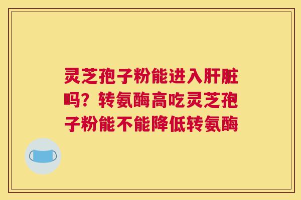 灵芝孢子粉能进入吗？转氨酶高吃灵芝孢子粉能不能降低转氨酶