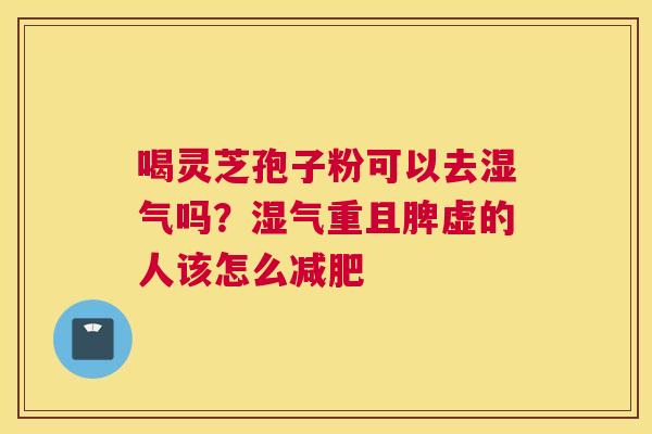 喝灵芝孢子粉可以去湿气吗？湿气重且脾虚的人该怎么