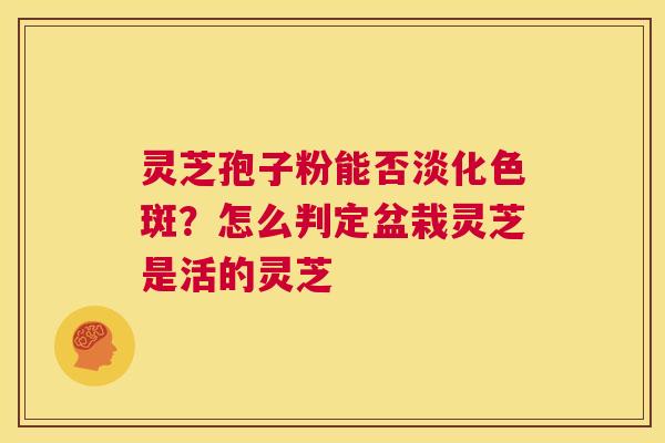 灵芝孢子粉能否淡化色斑？怎么判定盆栽灵芝是活的灵芝