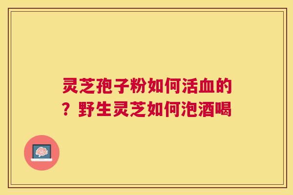 灵芝孢子粉如何活的？野生灵芝如何泡酒喝