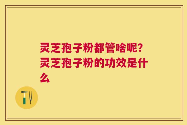 灵芝孢子粉都管啥呢？灵芝孢子粉的功效是什么