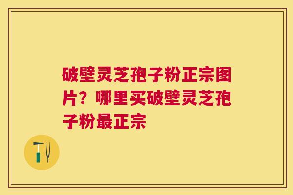破壁灵芝孢子粉正宗图片？哪里买破壁灵芝孢子粉正宗