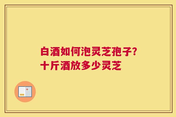 白酒如何泡灵芝孢子？十斤酒放多少灵芝