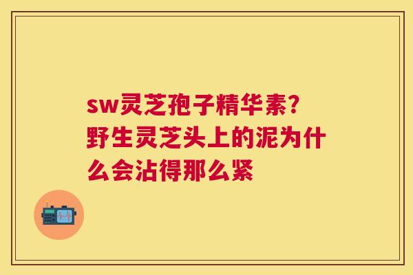 sw灵芝孢子精华素？野生灵芝头上的泥为什么会沾得那么紧