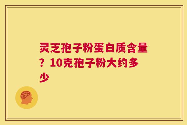 灵芝孢子粉蛋白质含量？10克孢子粉大约多少