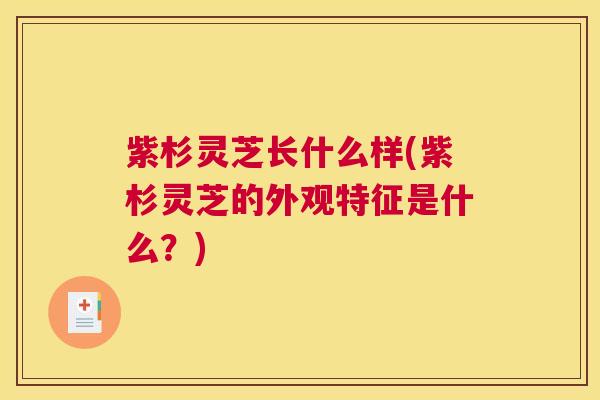 紫杉灵芝长什么样(紫杉灵芝的外观特征是什么？)
