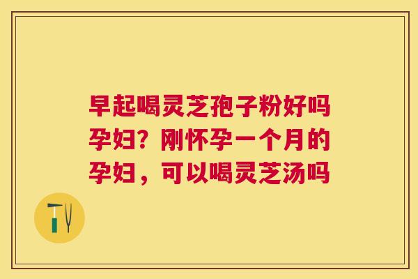 早起喝灵芝孢子粉好吗孕妇？刚怀孕一个月的孕妇，可以喝灵芝汤吗