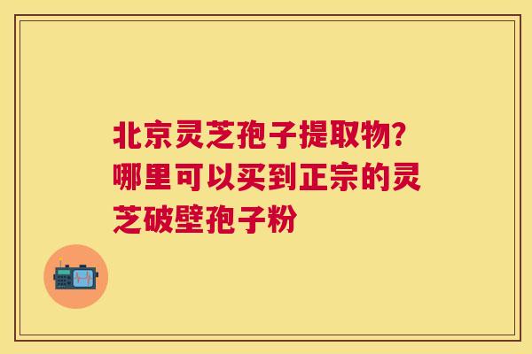 北京灵芝孢子提取物？哪里可以买到正宗的灵芝破壁孢子粉