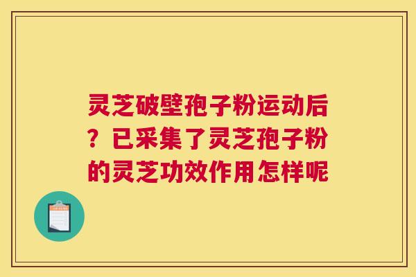 灵芝破壁孢子粉运动后？已采集了灵芝孢子粉的灵芝功效作用怎样呢