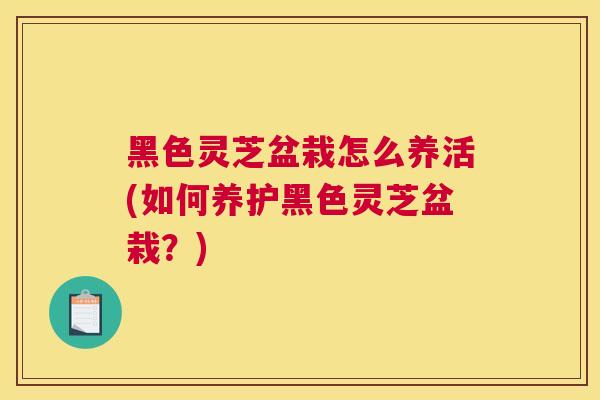 黑色灵芝盆栽怎么养活(如何养护黑色灵芝盆栽？)