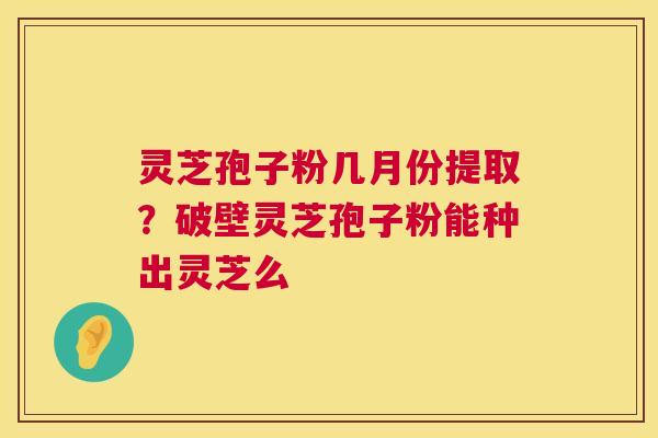灵芝孢子粉几月份提取？破壁灵芝孢子粉能种出灵芝么