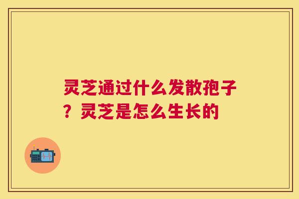 灵芝通过什么发散孢子？灵芝是怎么生长的