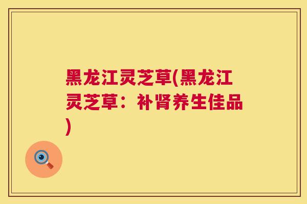 黑龙江灵芝草(黑龙江灵芝草：补养生佳品)