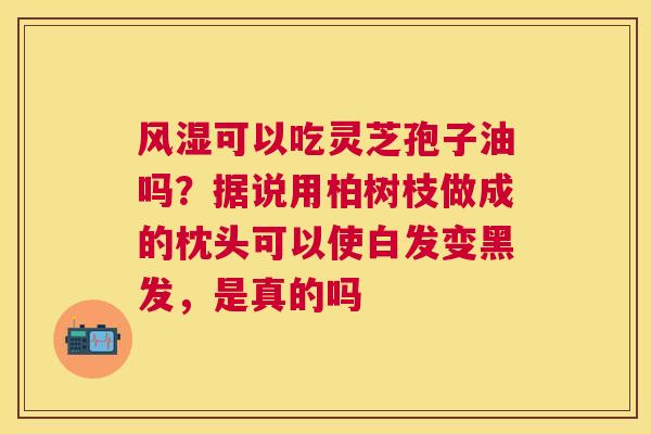 风湿可以吃灵芝孢子油吗？据说用柏树枝做成的枕头可以使白发变黑发，是真的吗