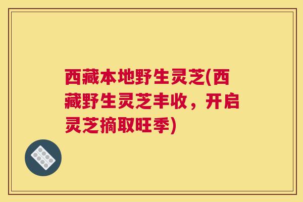 西藏本地野生灵芝(西藏野生灵芝丰收，开启灵芝摘取旺季)