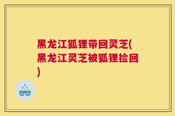 黑龙江狐狸带回灵芝(黑龙江灵芝被狐狸捡回)