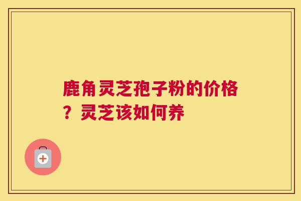 鹿角灵芝孢子粉的价格？灵芝该如何养