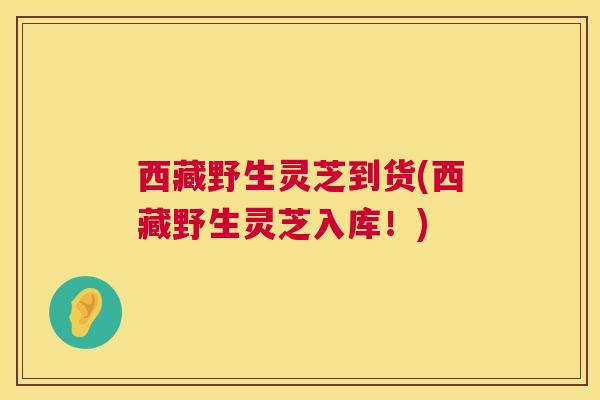 西藏野生灵芝到货(西藏野生灵芝入库！)