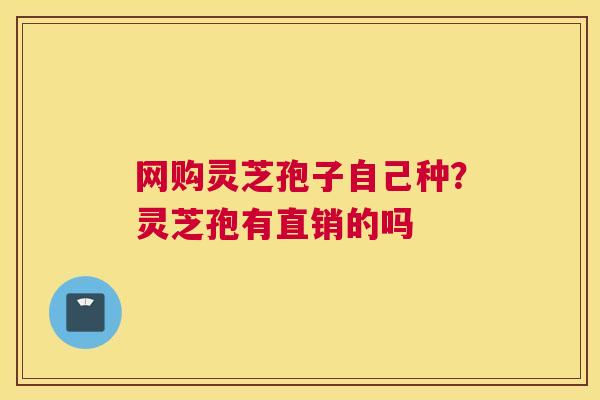 网购灵芝孢子自己种？灵芝孢有直销的吗