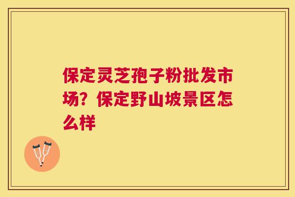 保定灵芝孢子粉批发市场？保定野山坡景区怎么样