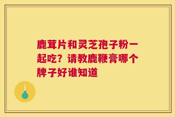 鹿茸片和灵芝孢子粉一起吃？请教鹿鞭膏哪个牌子好谁知道