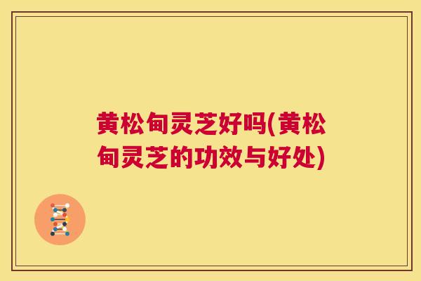 黄松甸灵芝好吗(黄松甸灵芝的功效与好处)