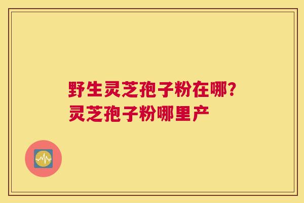 野生灵芝孢子粉在哪？灵芝孢子粉哪里产