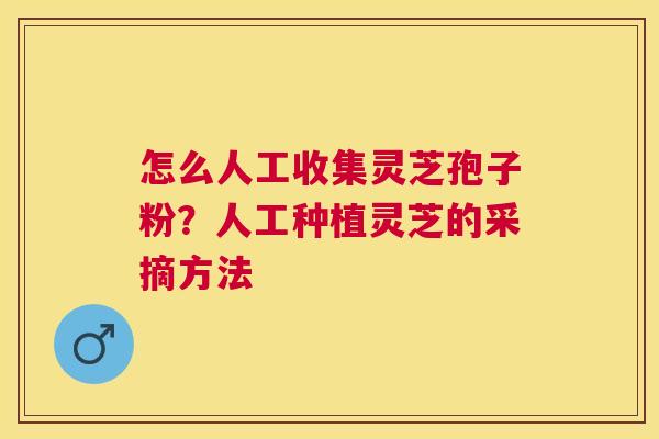 怎么人工收集灵芝孢子粉？人工种植灵芝的采摘方法