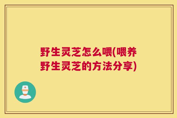 野生灵芝怎么喂(喂养野生灵芝的方法分享)