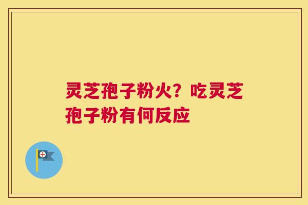 灵芝孢子粉火？吃灵芝孢子粉有何反应
